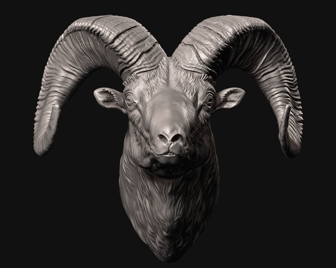 Big Horn Sheep 3D print model_1