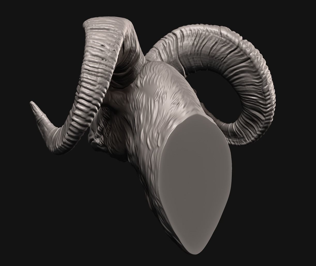 Big Horn Sheep 3D print model_4