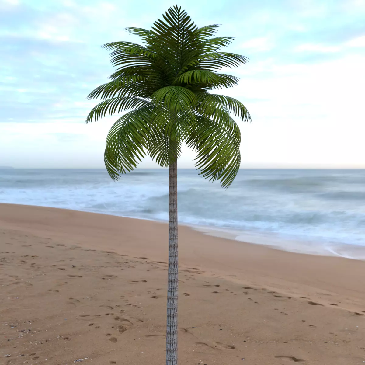 Palm Tree Low Poly Low-poly 3D model_0