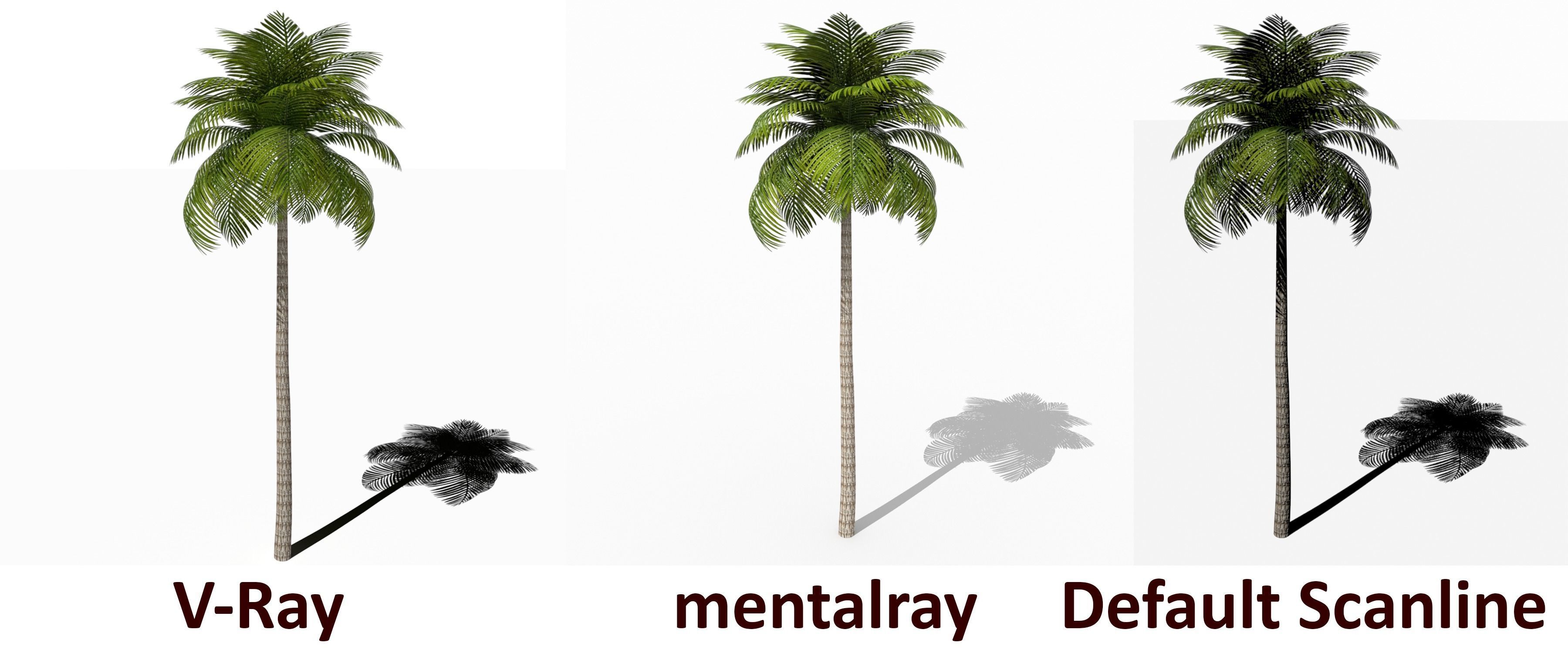 Palm Tree Low Poly Low-poly 3D model_1