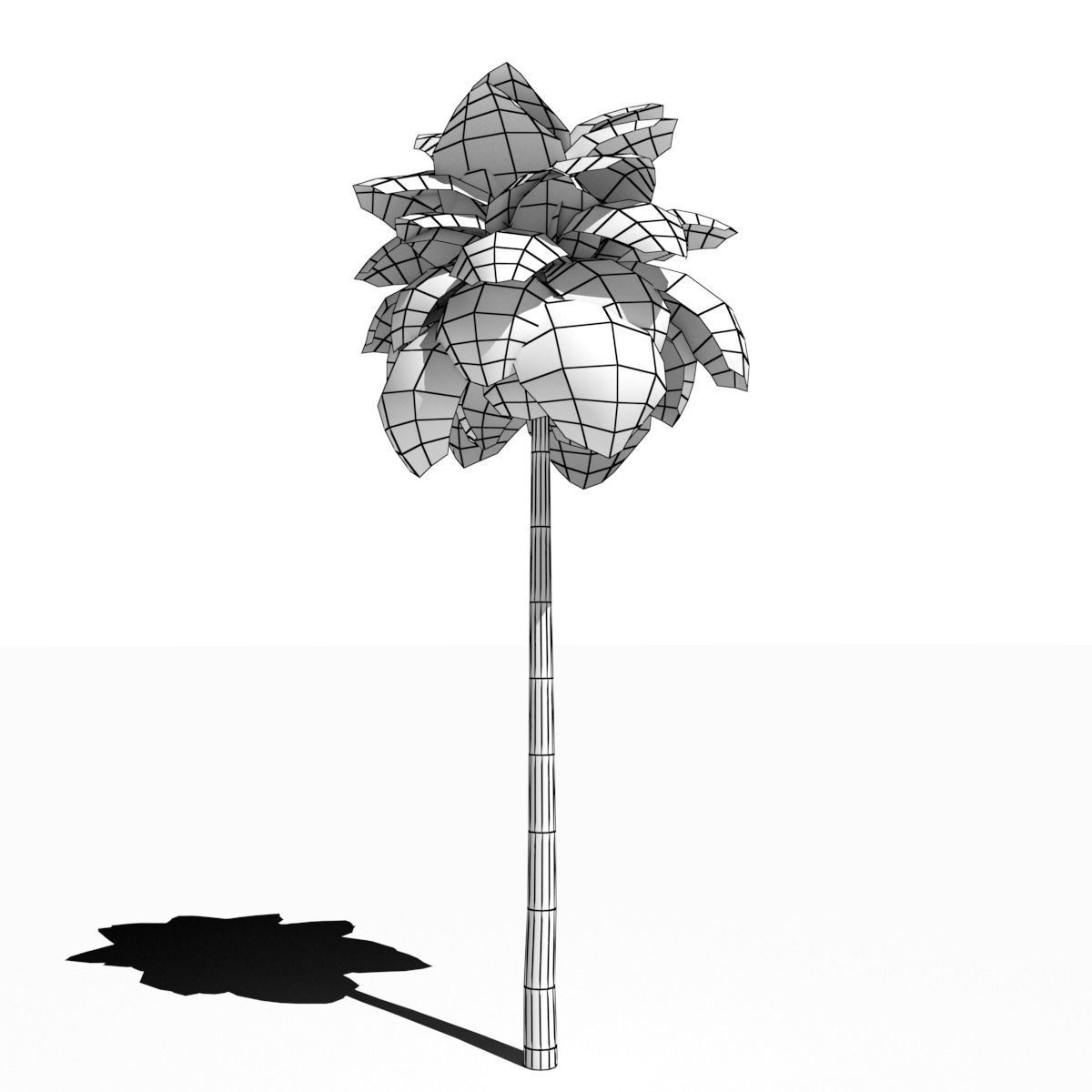 Palm Tree Low Poly Low-poly 3D model_9