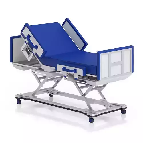 Advanced Hospital Bed
