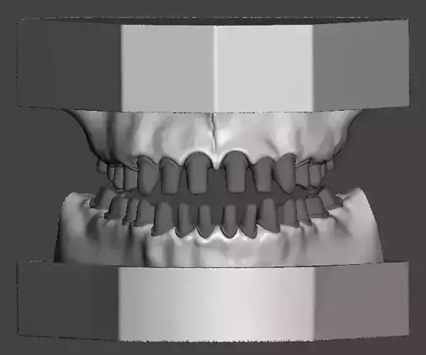 Dental practice model