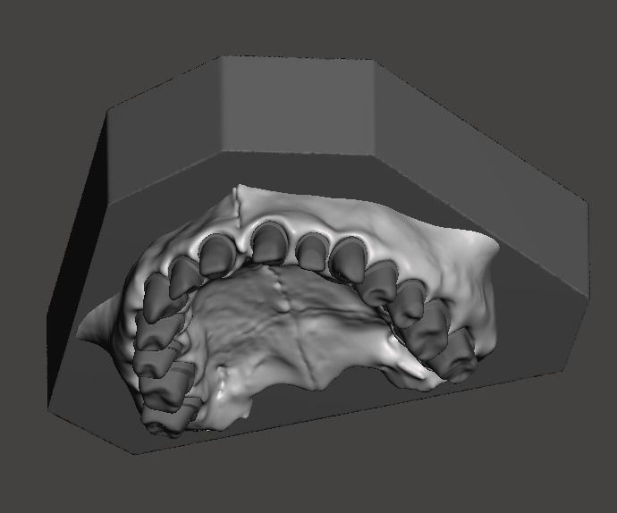Dental practice model 3D print model_2