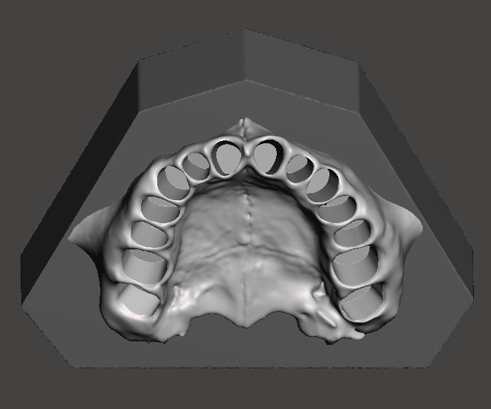 Dental practice model 3D print model_5
