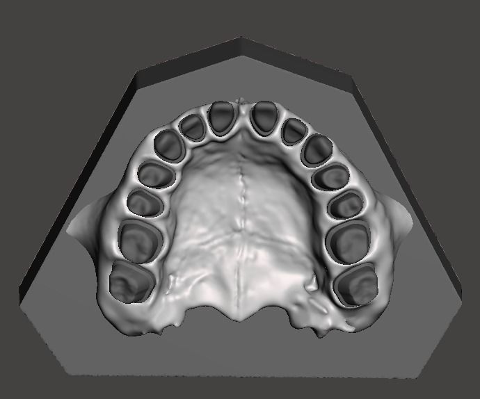 Dental practice model 3D print model_1