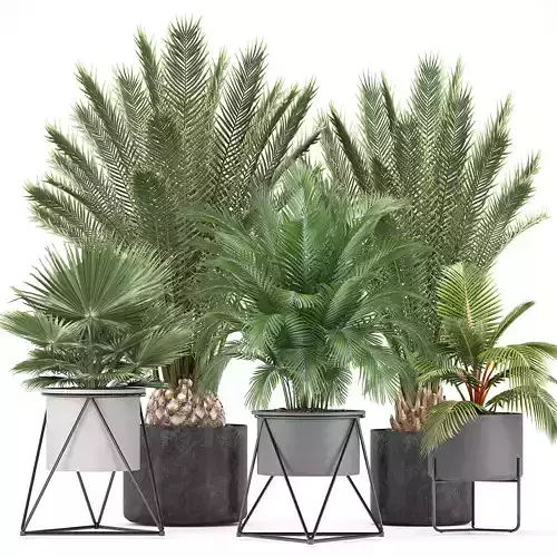 Collection of ornamental plants and Exotic plants