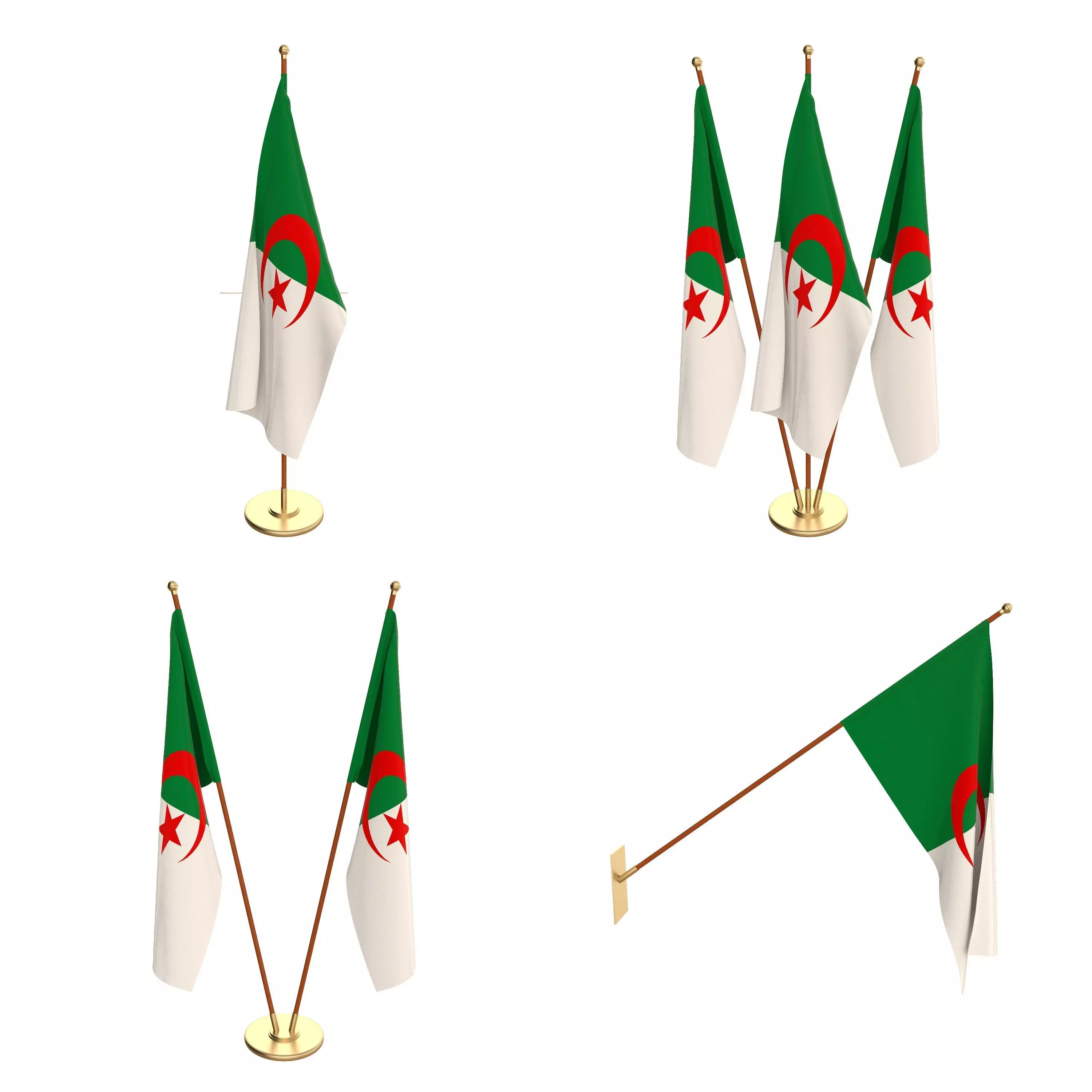 Algeria Flag Pack 3D model_0