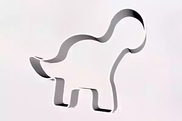 Dinosaur Cookie Cutter