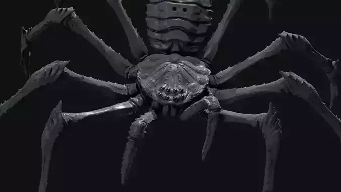 Goliath Huntsman Spider Low-poly 3D model
