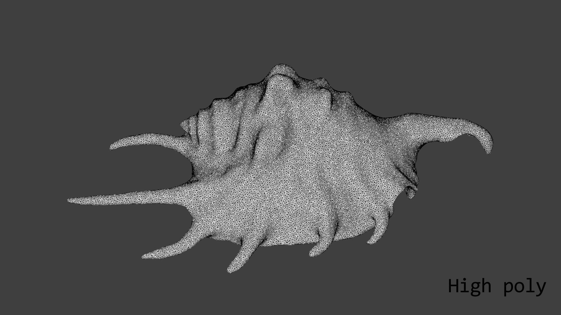 Sea shell Spider Conch 3d model Low-poly 3D model_17