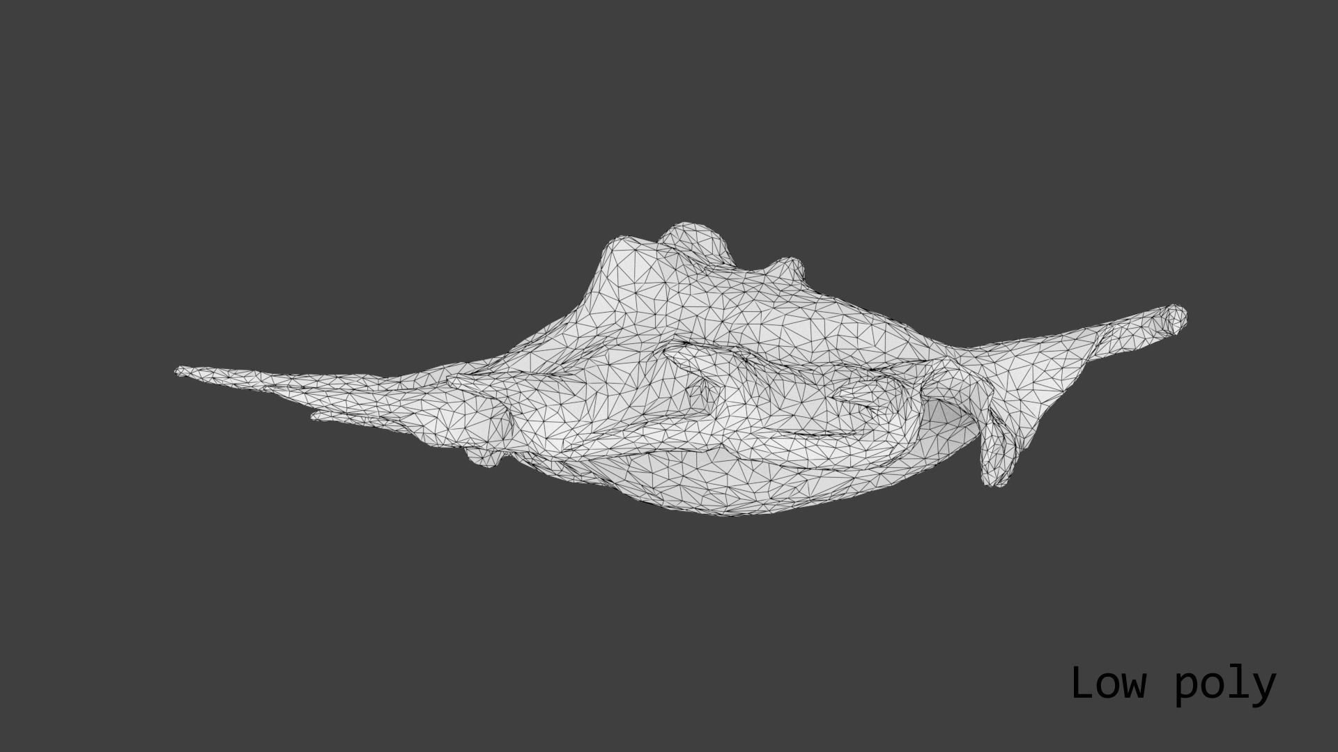 Sea shell Spider Conch 3d model Low-poly 3D model_20