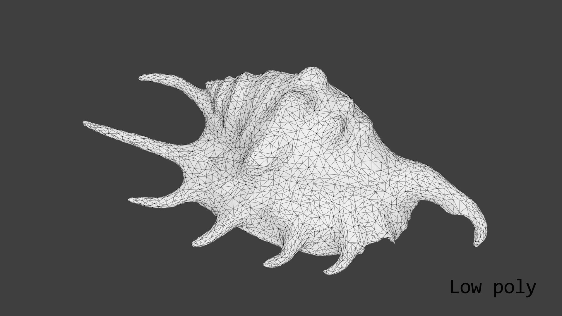 Sea shell Spider Conch 3d model Low-poly 3D model_19