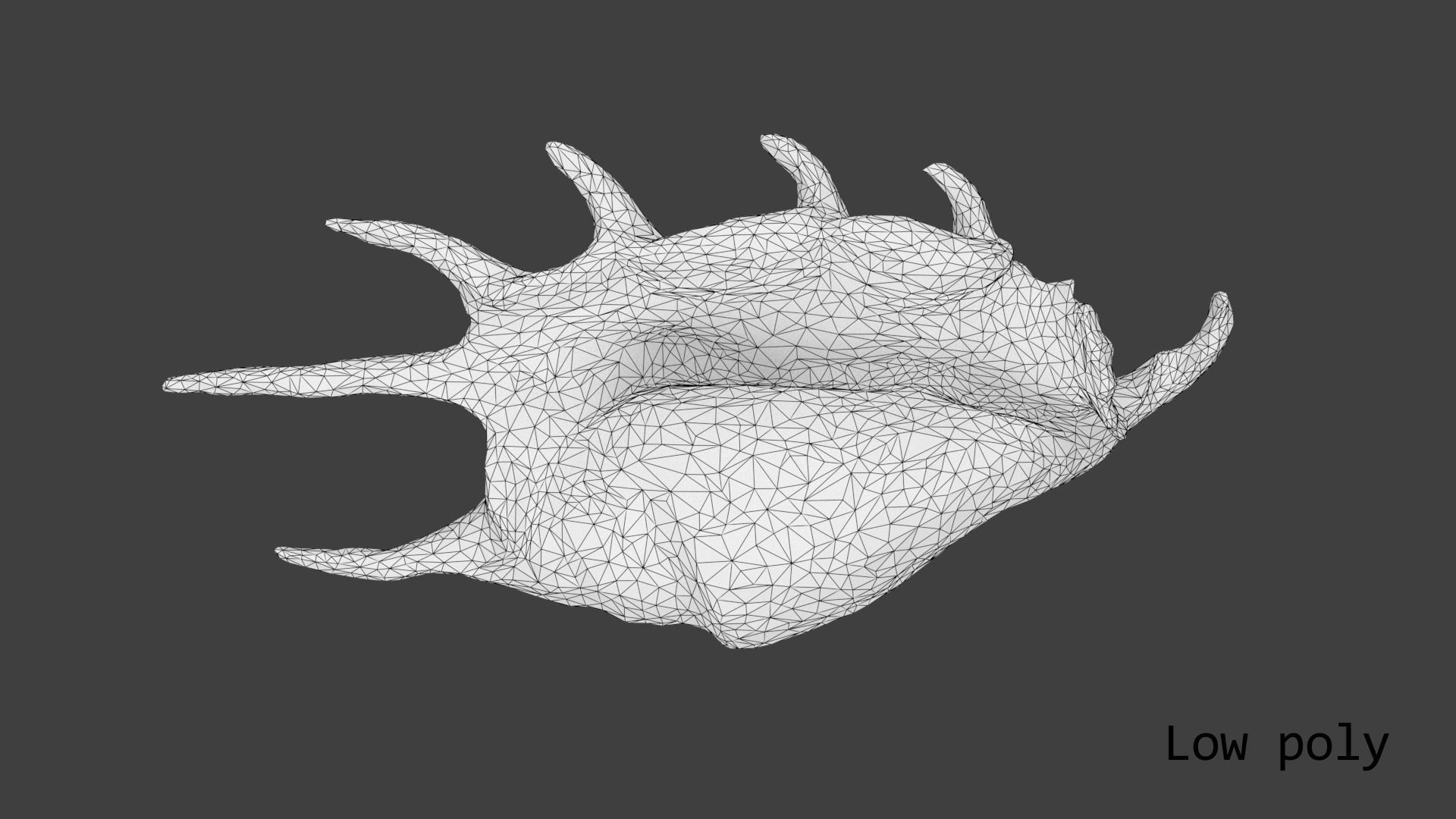 Sea shell Spider Conch 3d model Low-poly 3D model_21