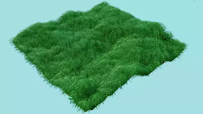 grass field