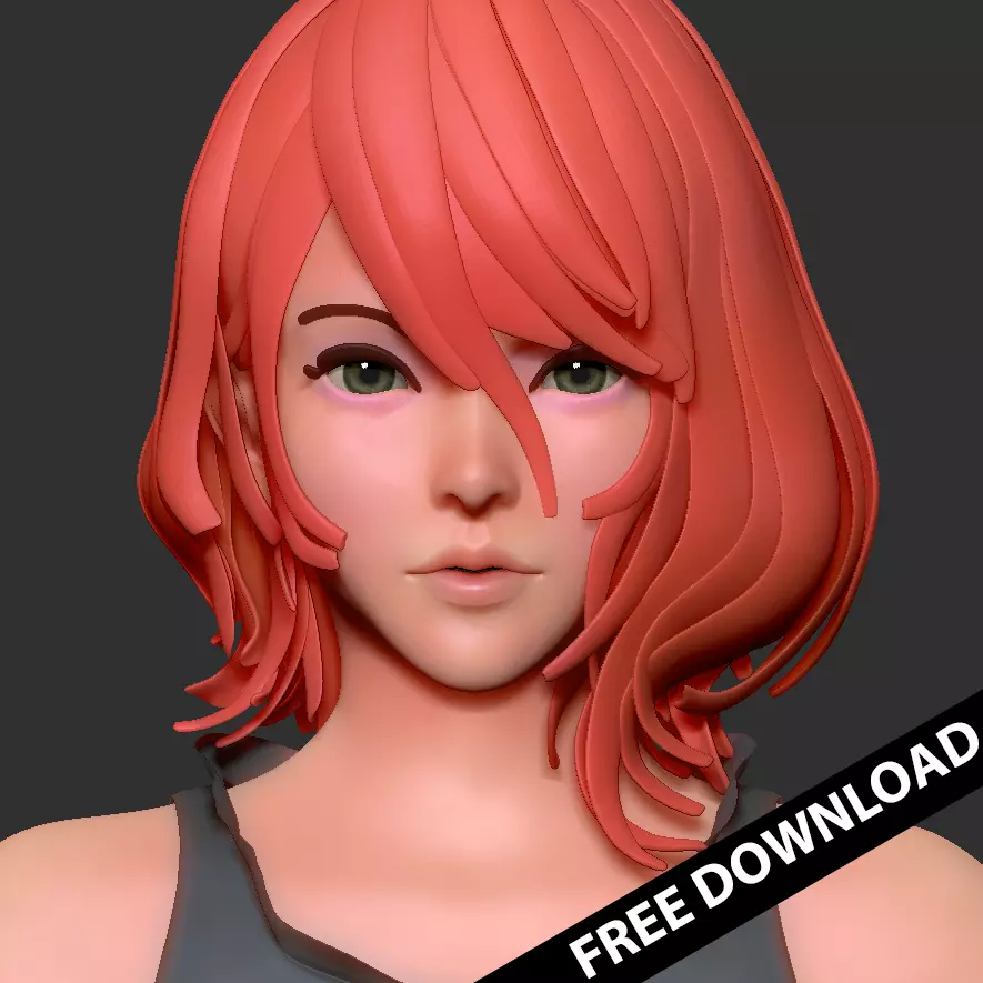 Head Basemesh Free 3D print model_0