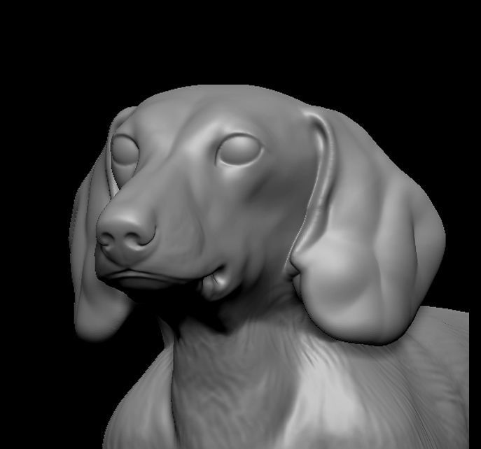 SAUSAGE DOG 3D MODEL 3D print model_5