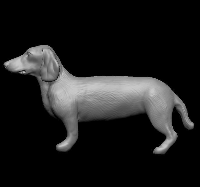 SAUSAGE DOG 3D MODEL 3D print model_3