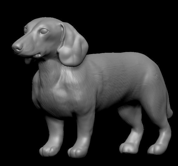 SAUSAGE DOG 3D MODEL 3D print model_4