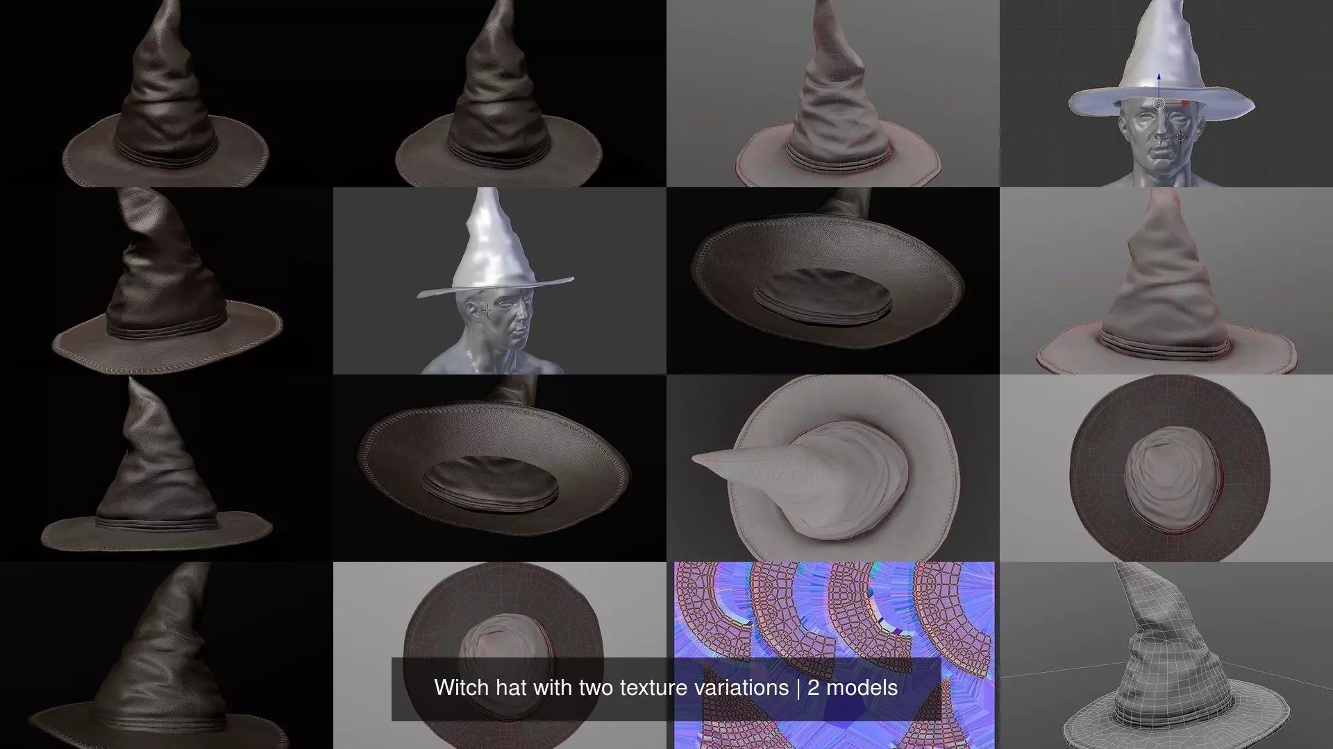 Witch hat with two texture variations 3D Model Collection_1