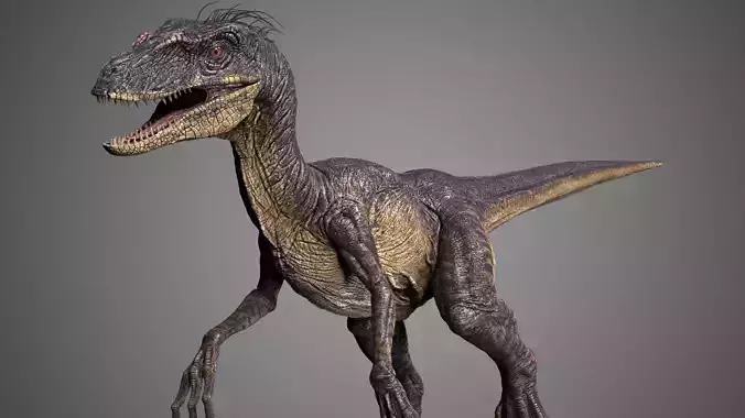 Raptor dinosaur 3D model