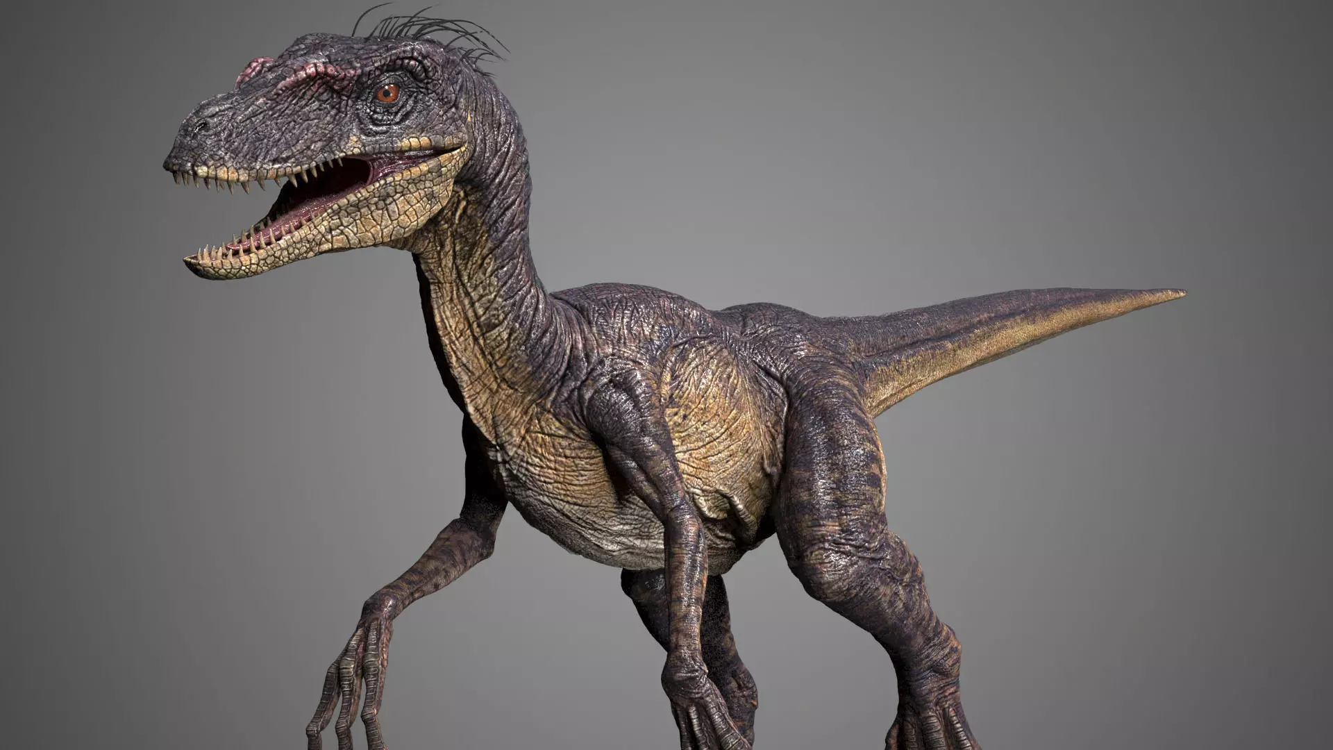 Raptor dinosaur 3D model animated rigged | CGTrader, image size:1920x1080