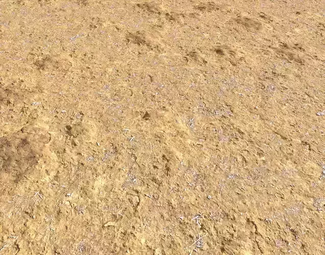 Sand terrain 2 PBR