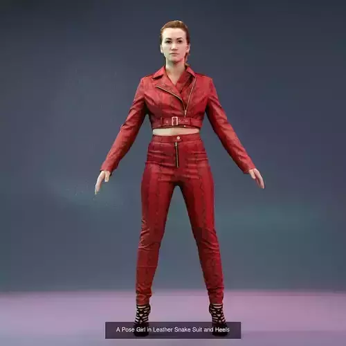 6 A Pose Girls in Various Outfits 3D Model Collection