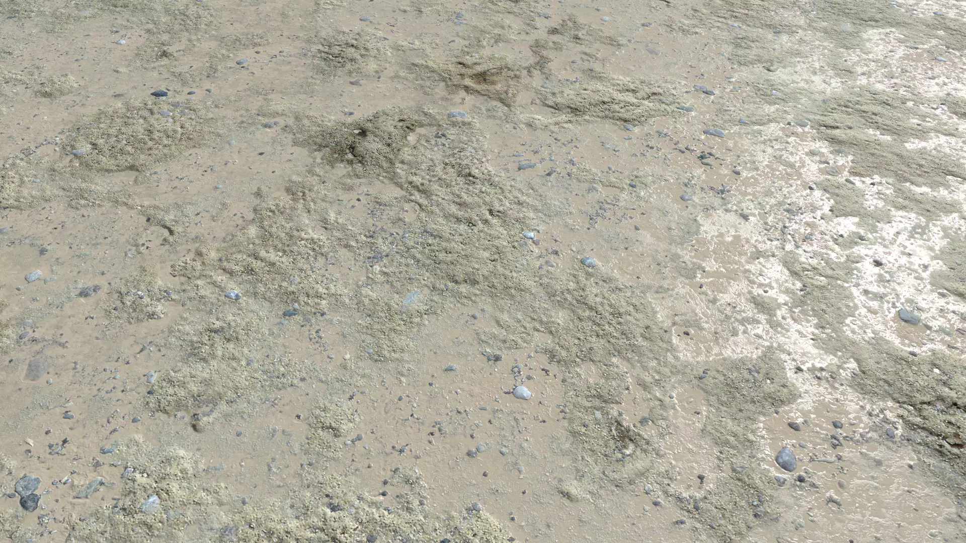 Dirt Terrain PBR Pack 5 Texture_0