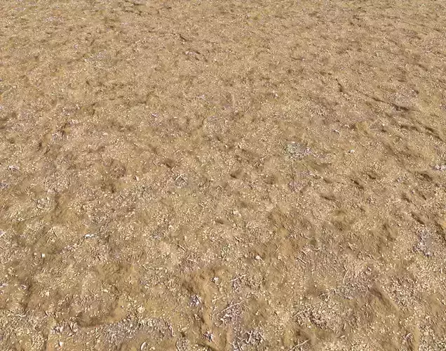 Sand terrain 4 PBR Texture