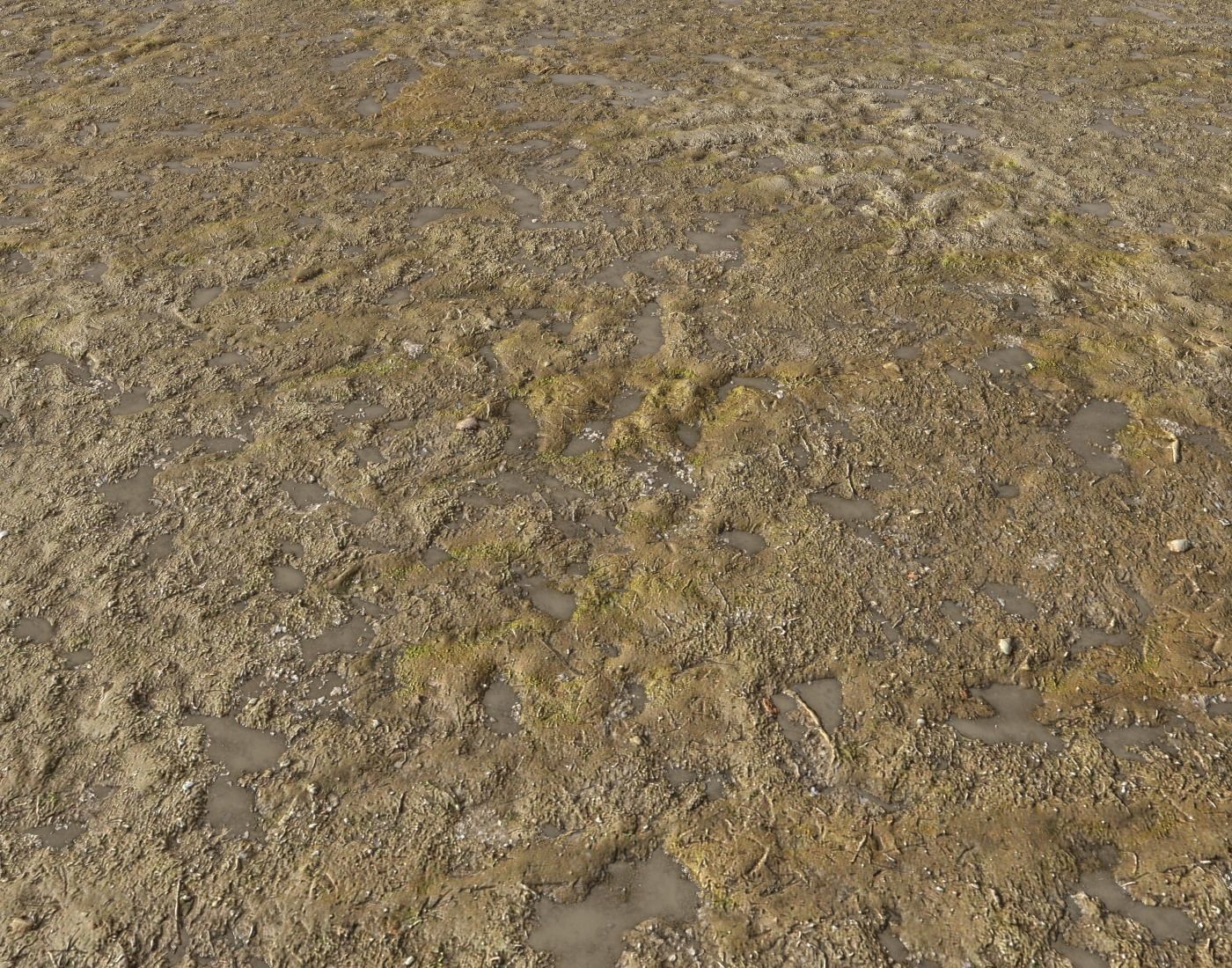 Dirty mud terrain 12 PBR Texture_2