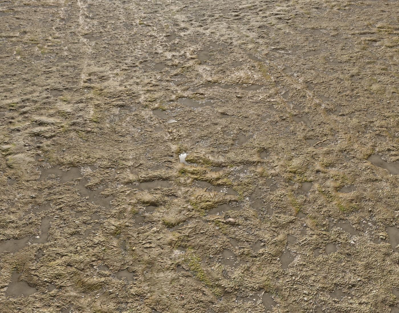 Dirty mud terrain 12 PBR Texture_3