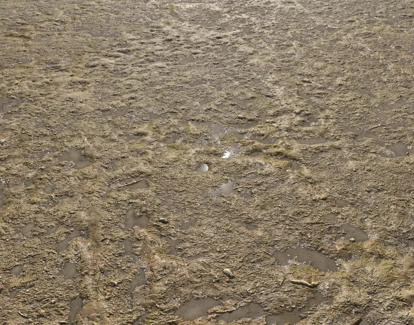 Dirty mud terrain 12 PBR Texture_0