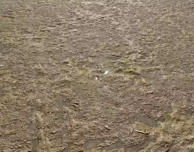 Dirty mud terrain 12 PBR Texture
