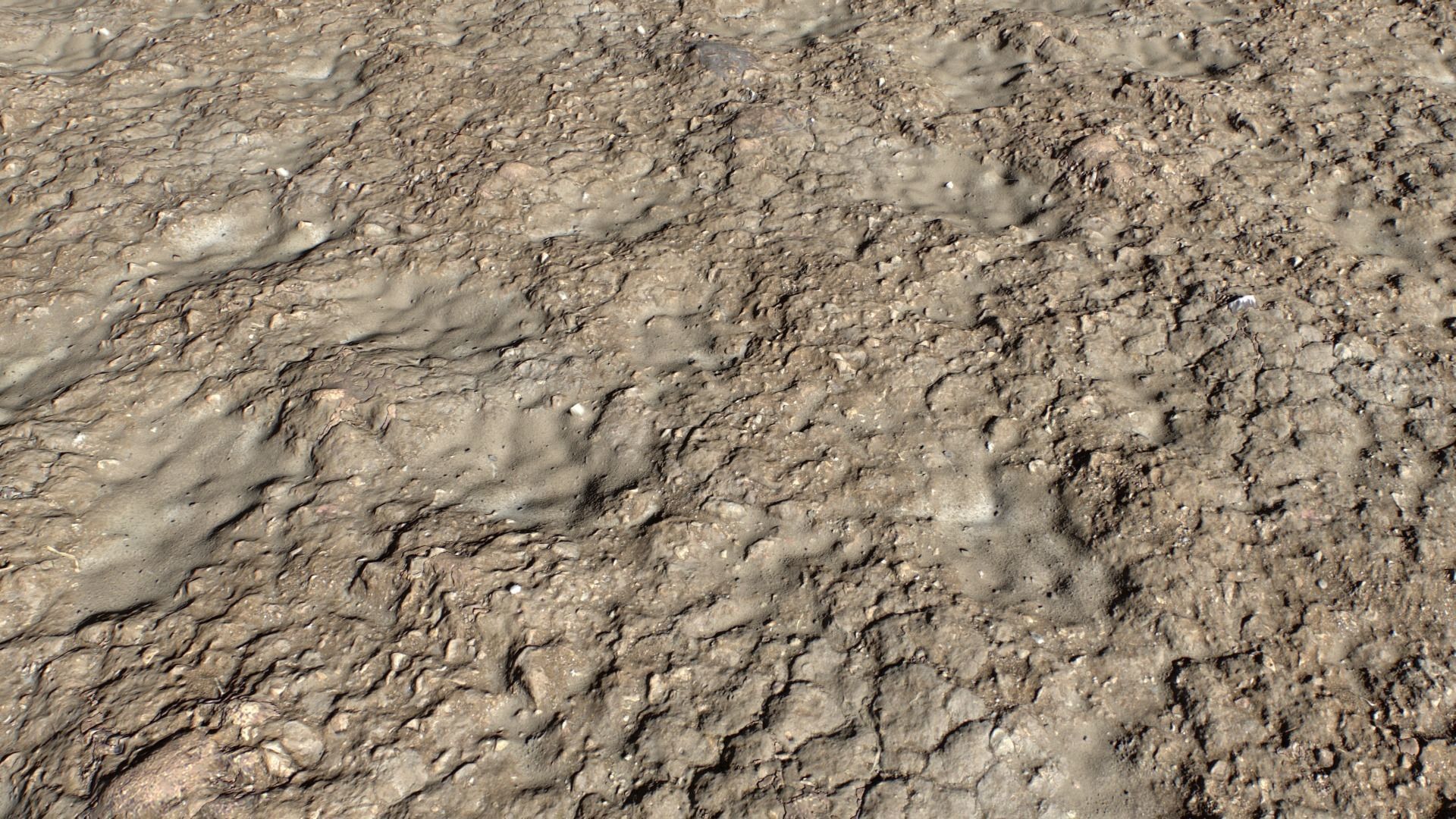 Beach and Sand Texture set Texture_19