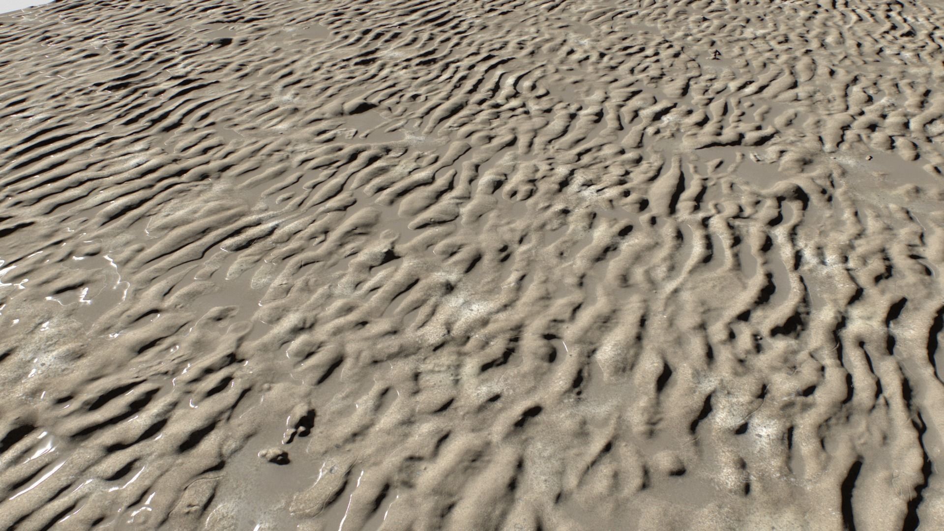 Beach and Sand Texture set Texture_2