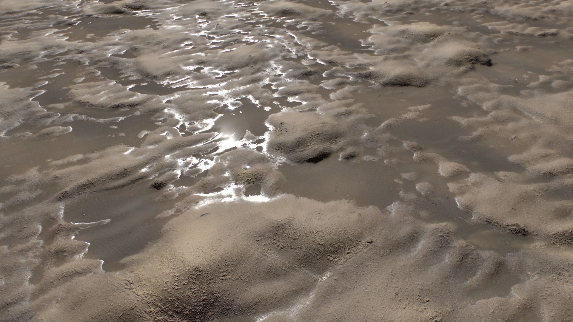 Beach and Sand Texture set Texture_12