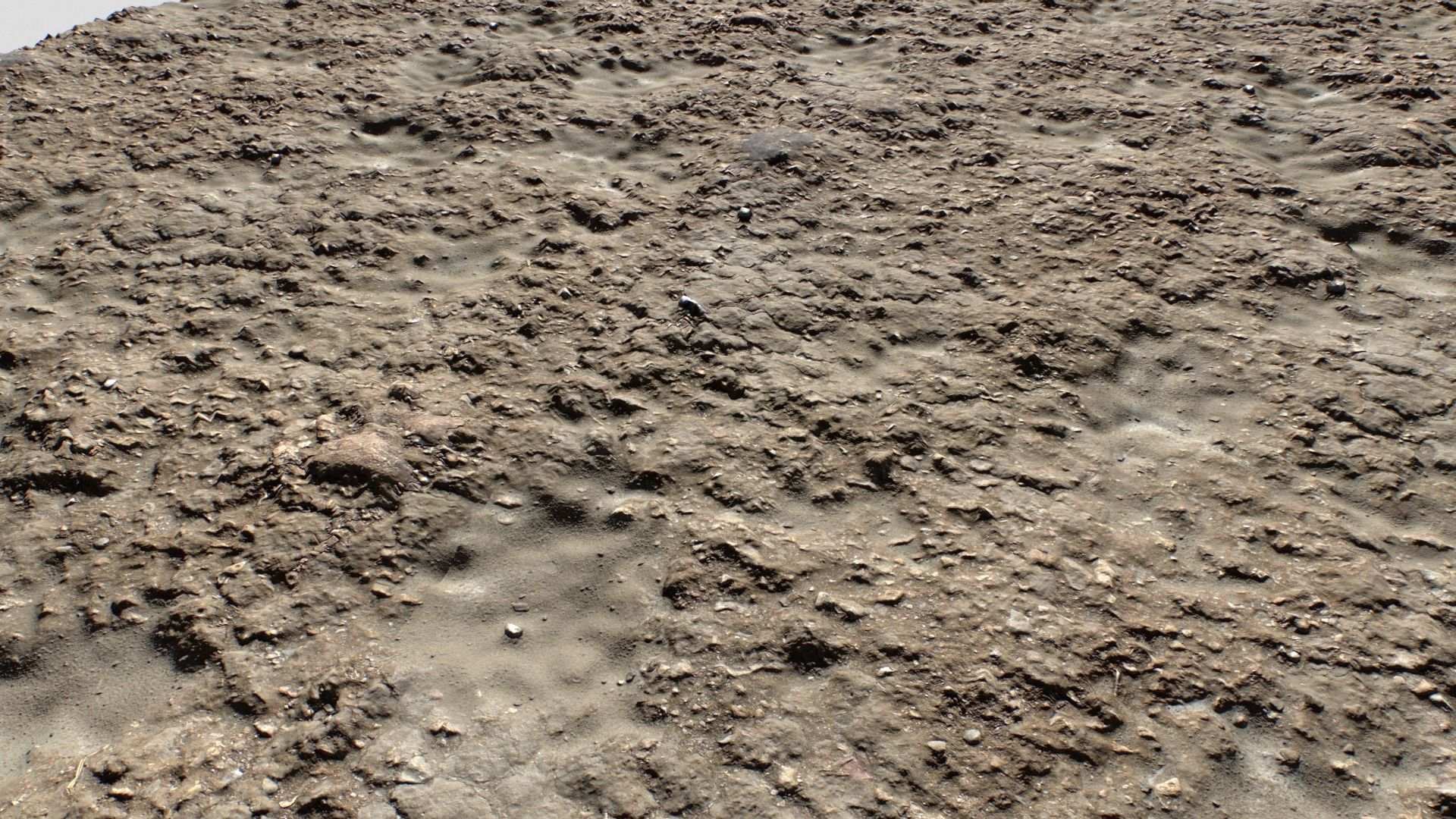 Beach and Sand Texture set Texture_17