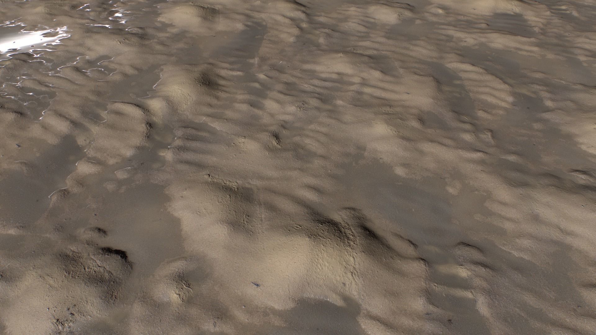 Beach and Sand Texture set Texture_13