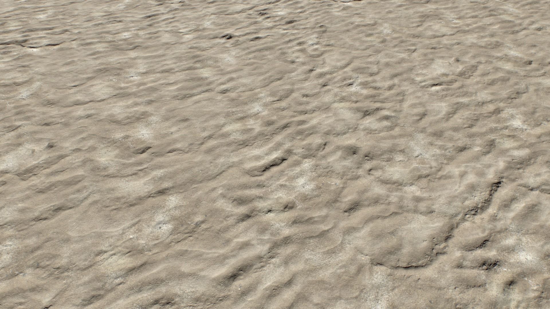 Beach and Sand Texture set Texture_6