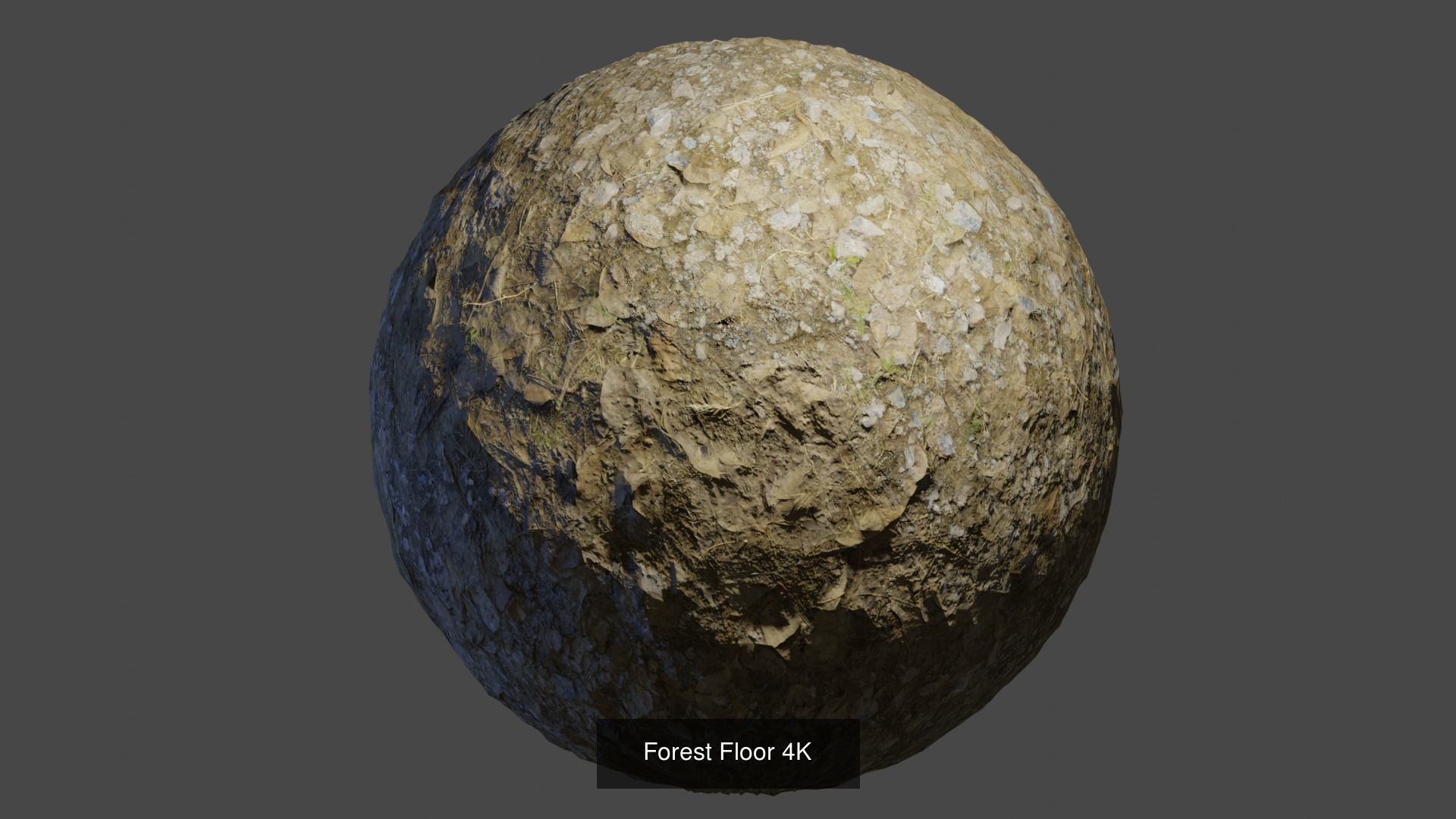 PBR Collection Variety egg Texture_2