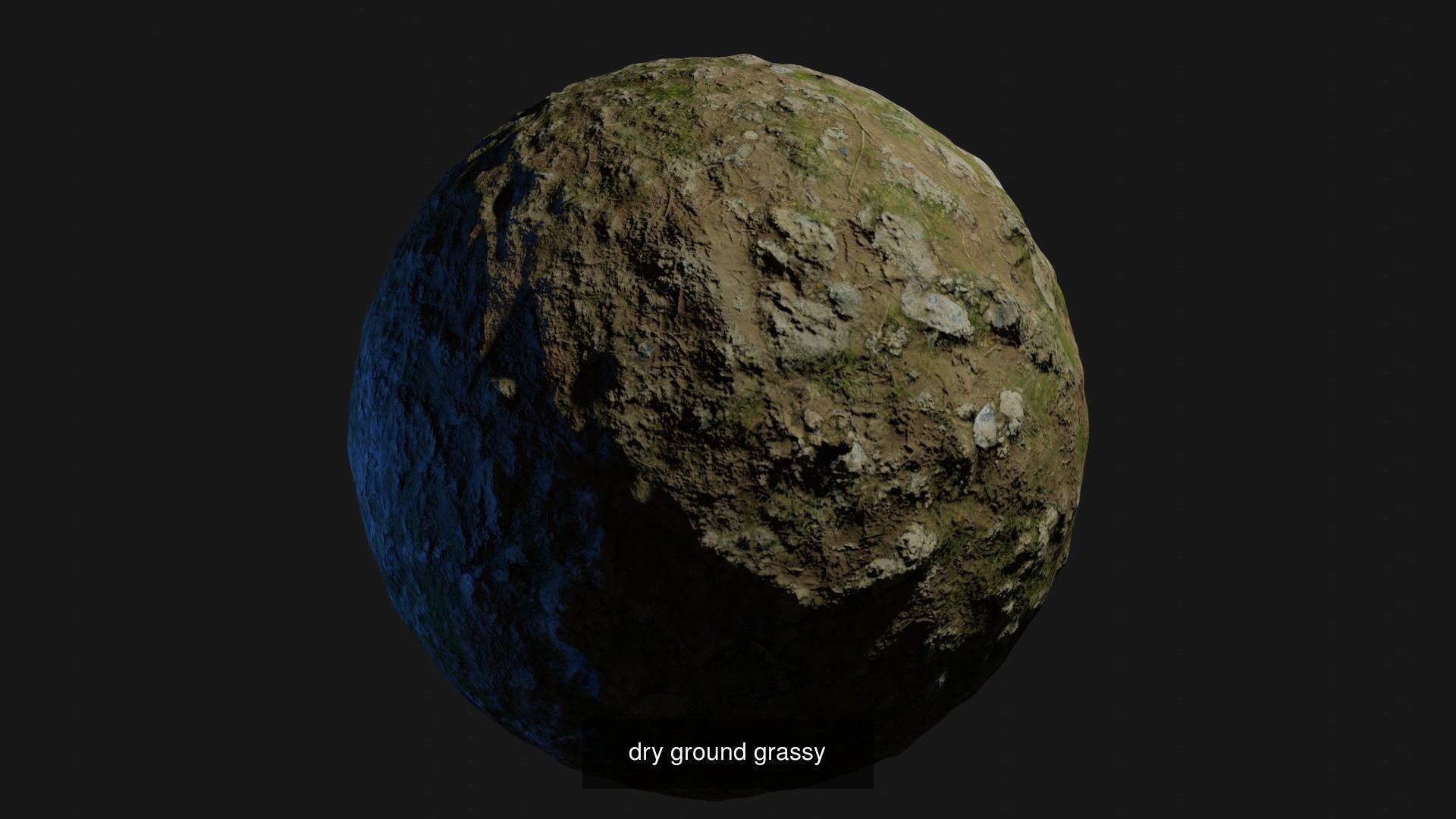 PBR Collection Variety egg Texture_1