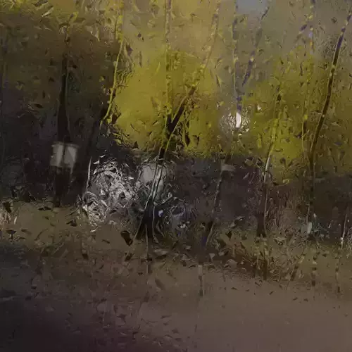 Rainy window