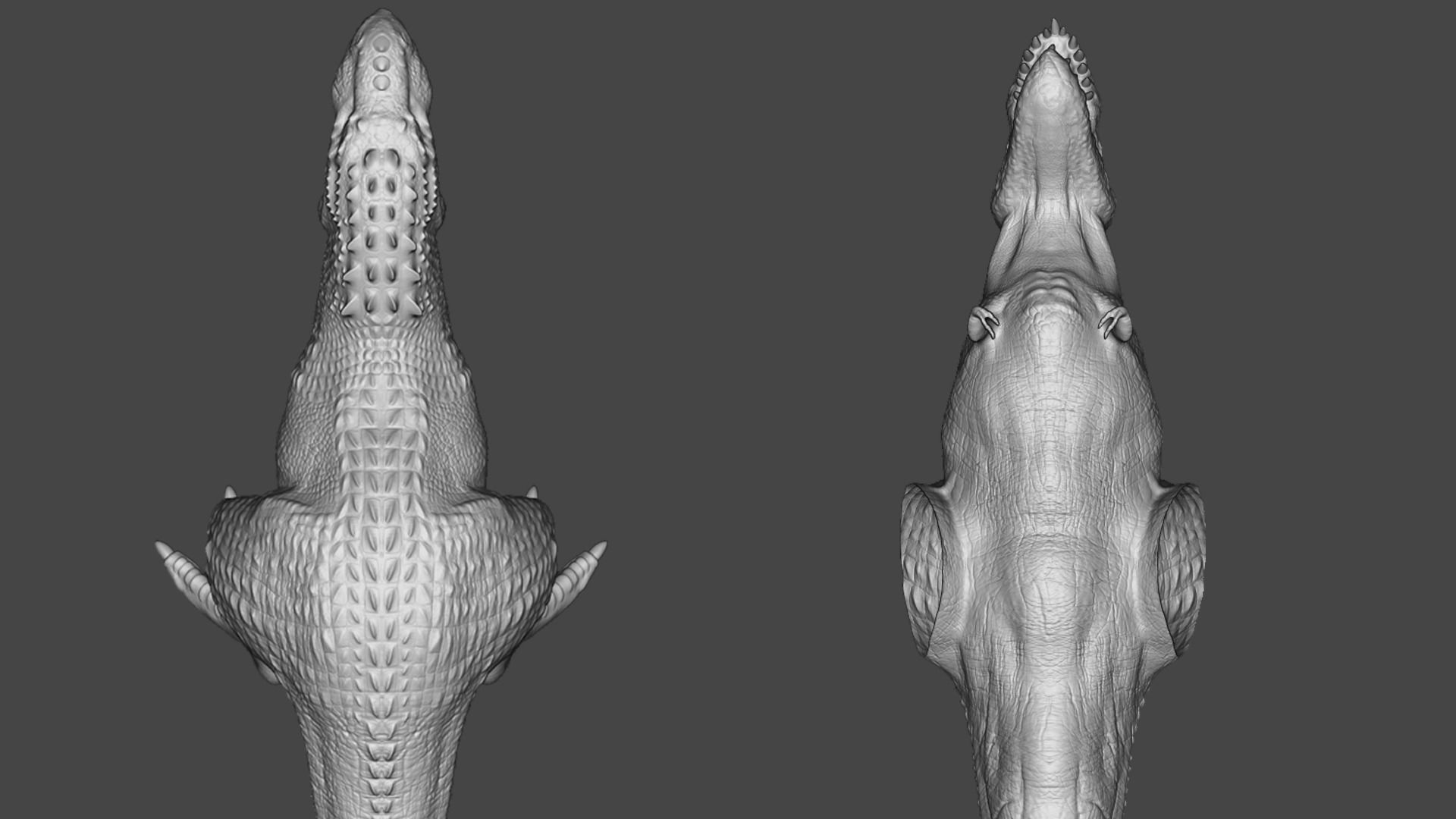 T rex 3D model_6