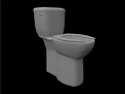 toilet with toilet seat 