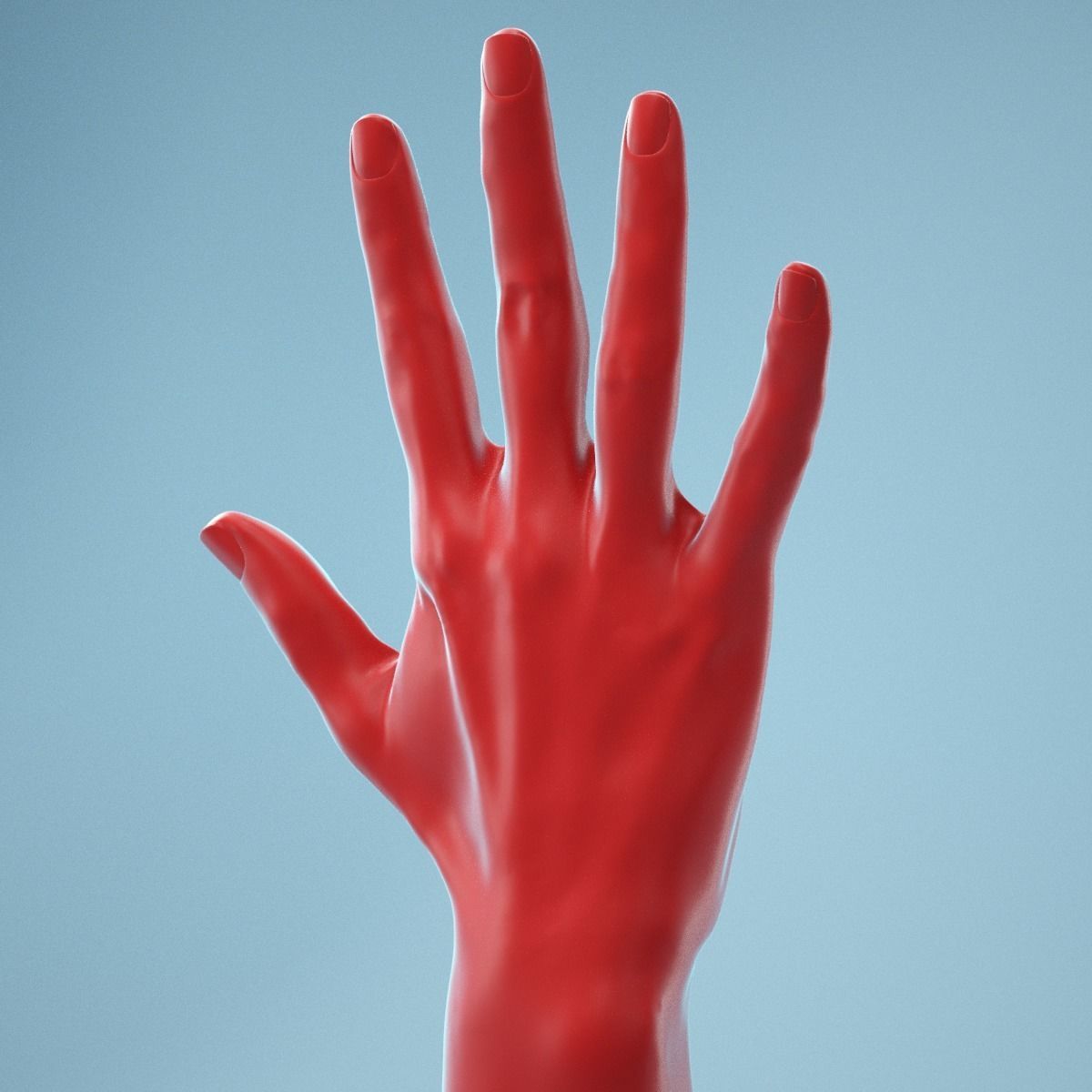 Standard Pose Realistic Hand Model 02 3D model_11