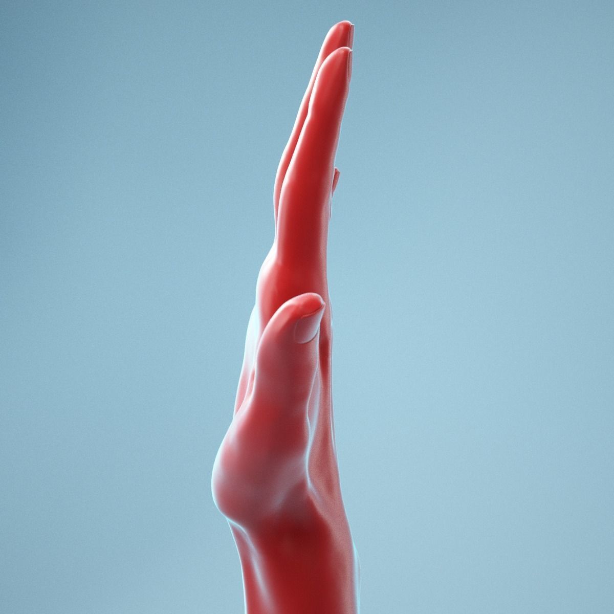Standard Pose Realistic Hand Model 02 3D model_3