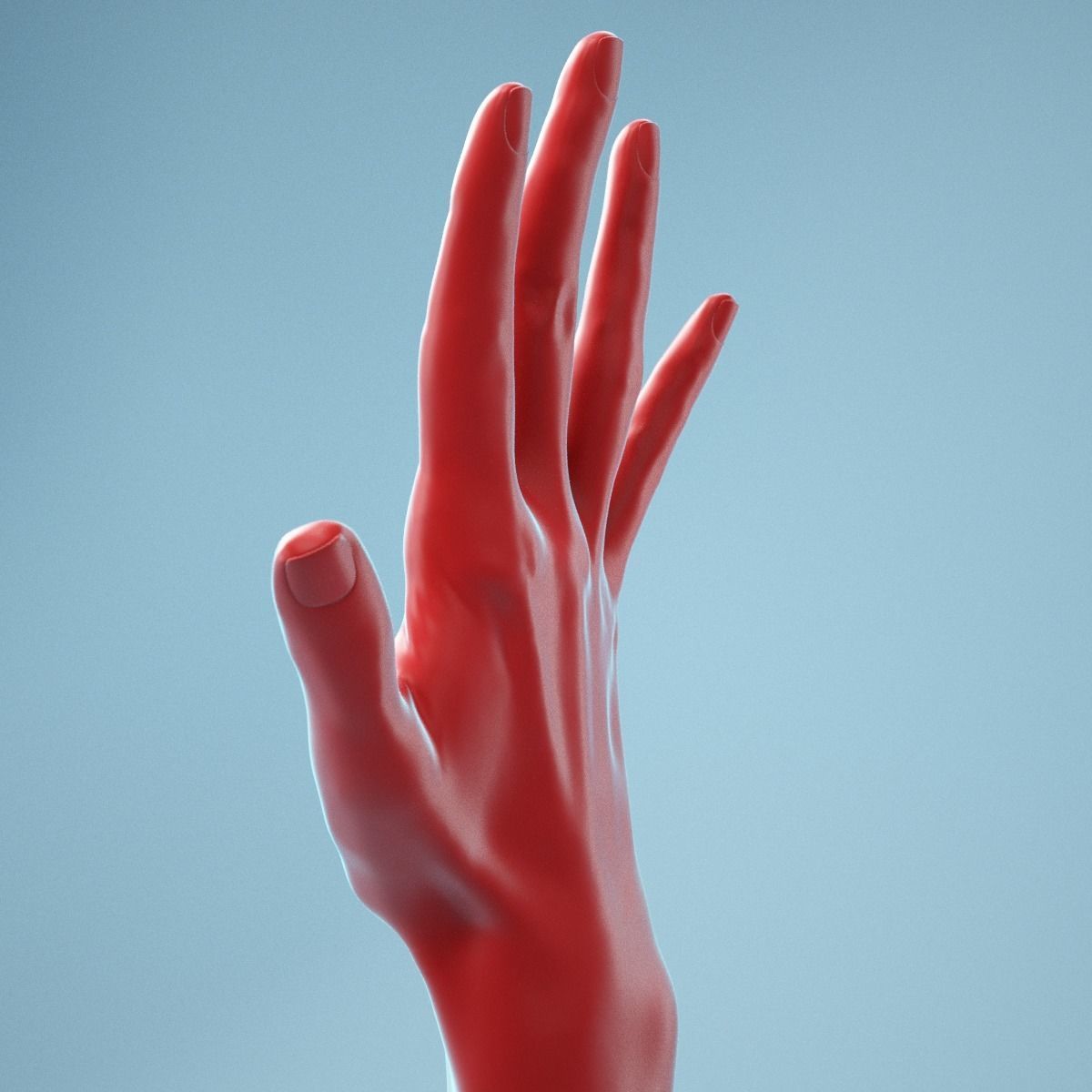 Standard Pose Realistic Hand Model 02 3D model_2
