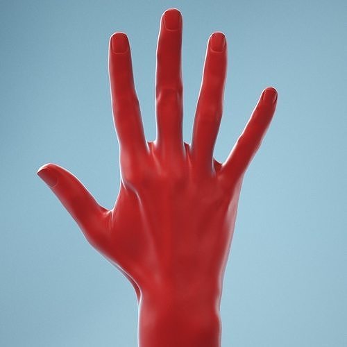 Standard Pose Realistic Hand Model 02 3D model