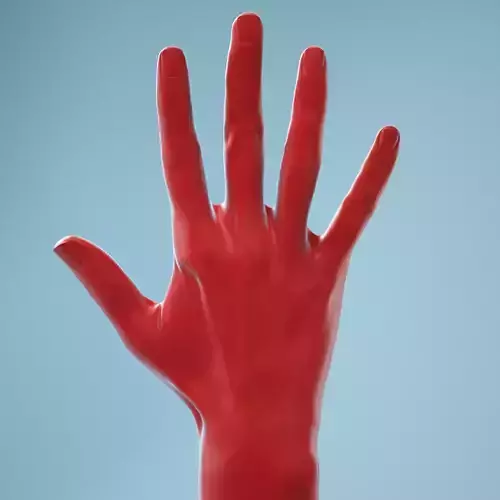 Standard Pose Realistic Hand Model 02 3D model